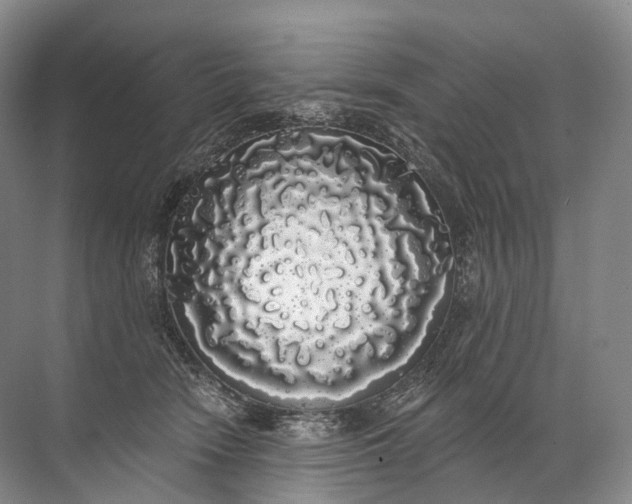 X0000072510466200607290137