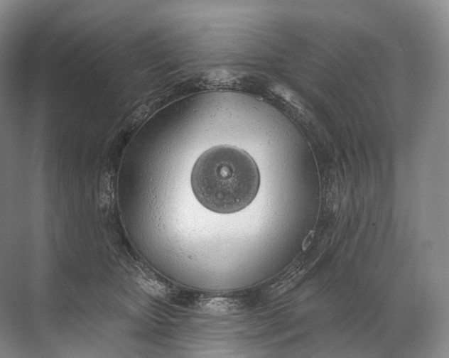 X0000072510467200607290137