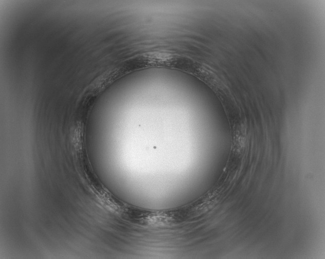 X0000072510468200607290137