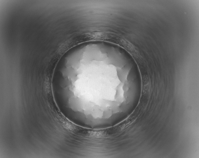 X0000072510469200607290137