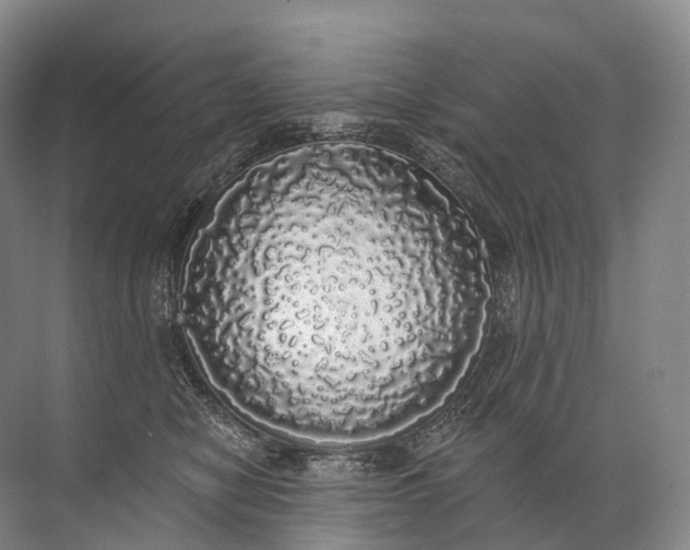 X0000072510470200607290137