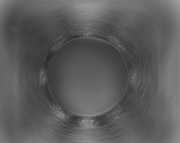 X0000072510471200607290137