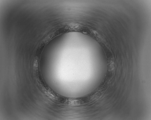 X0000072510472200607290137