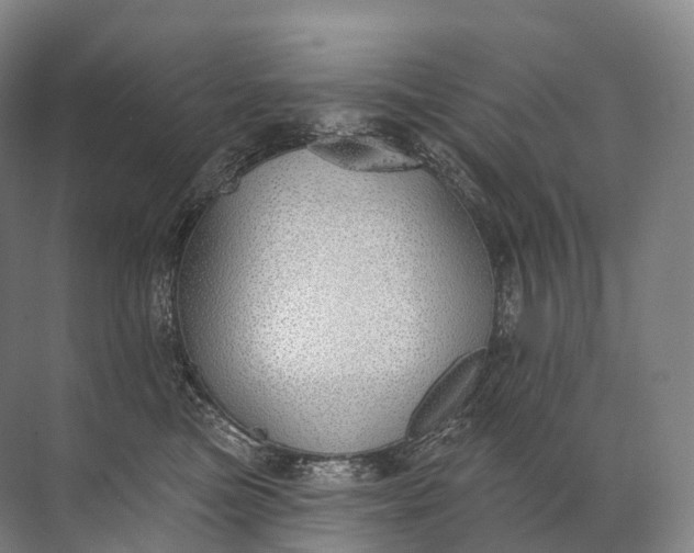 X0000072510473200607290137