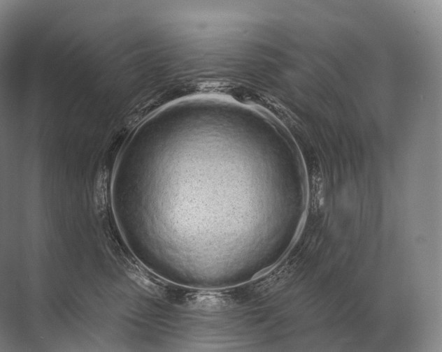 X0000072510475200607290137