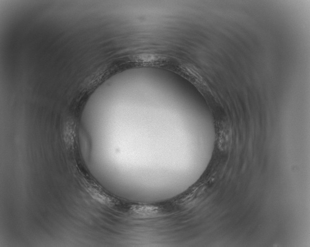 X0000072510476200607290137