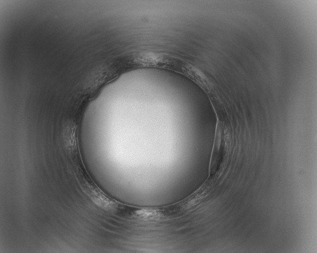 X0000072510477200607290137