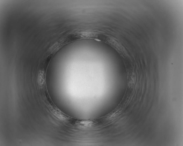 X0000072510478200607290137