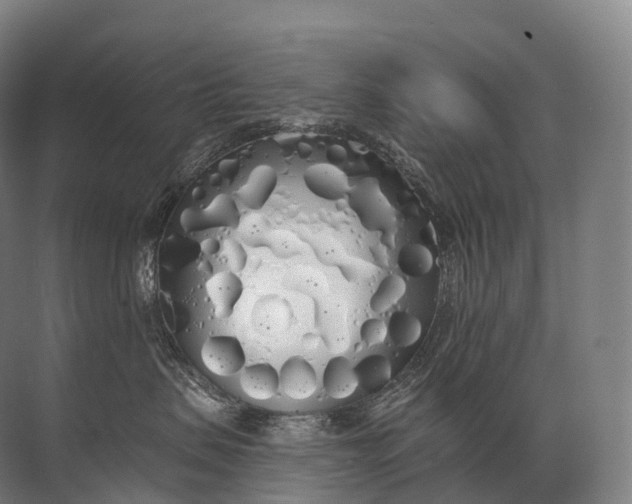 X0000072510479200607290137