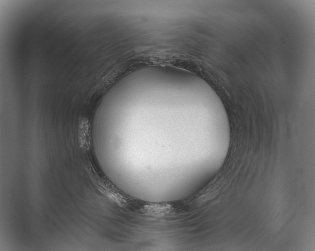 X0000072510480200607290137