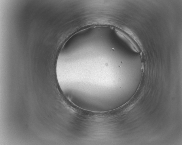 X0000072510481200607290136