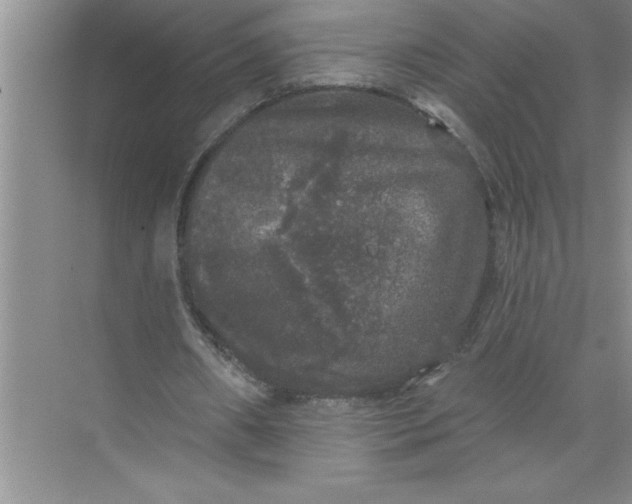 X0000072510482200607290136