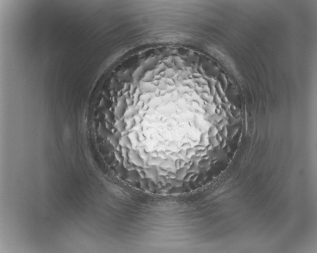 X0000072510483200607290136