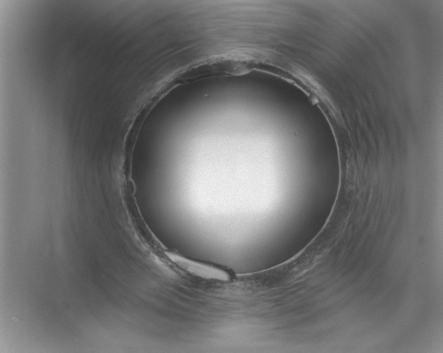 X0000072510485200607290136