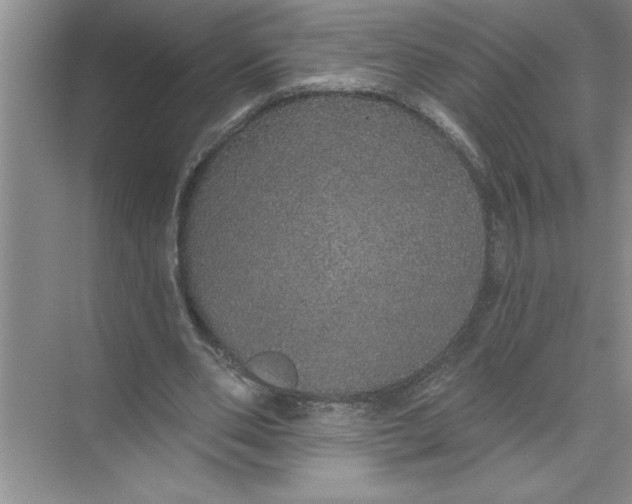 X0000072510486200607290136