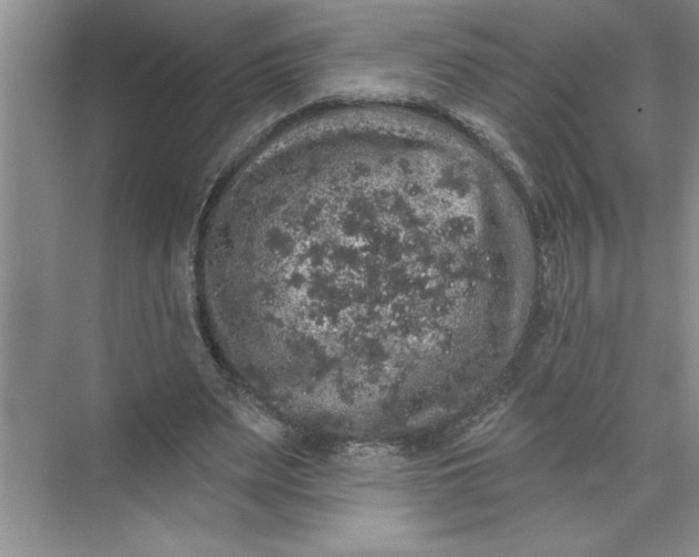 X0000072510487200607290136