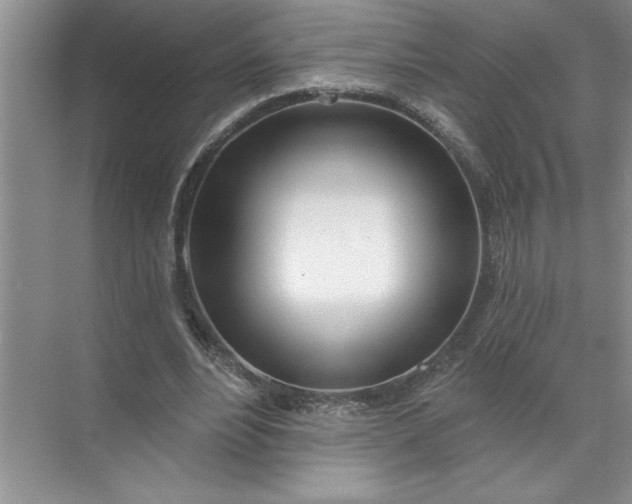 X0000072510488200607290136