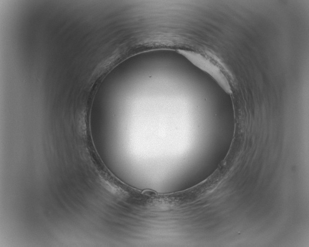 X0000072510489200607290136