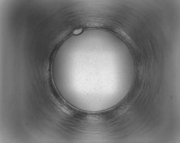 X0000072510490200607290136