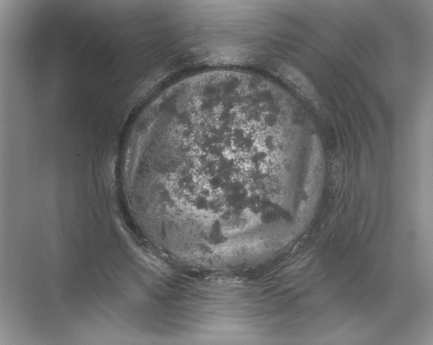 X0000072510491200607290136