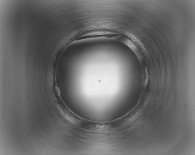 X0000072510493200607290136