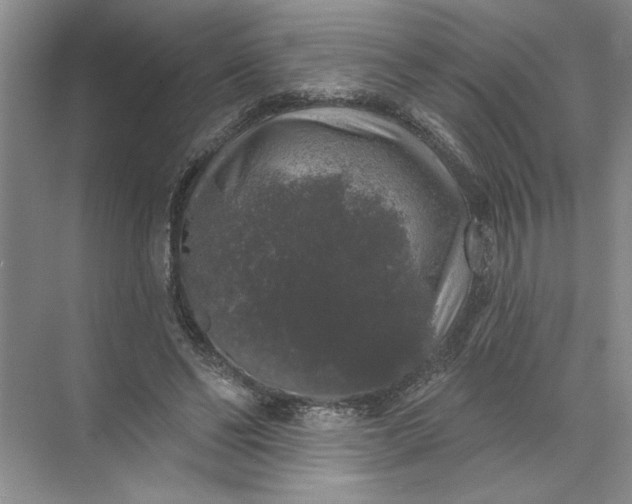 X0000072510494200607290136