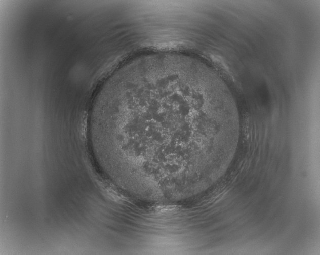 X0000072510495200607290136