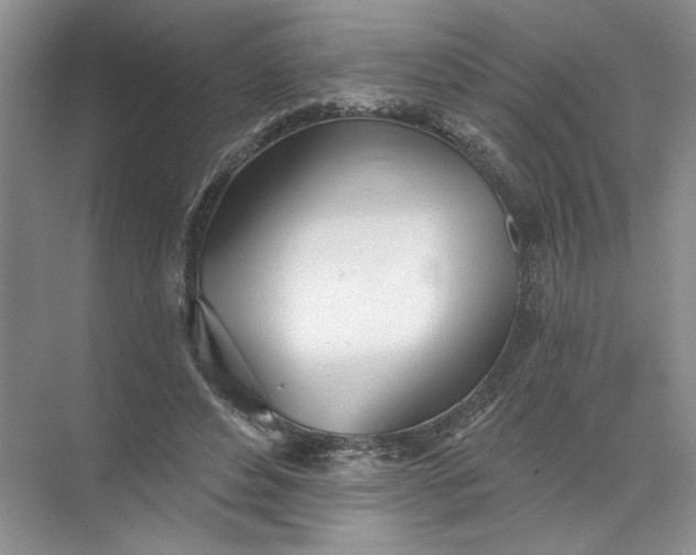 X0000072510496200607290136