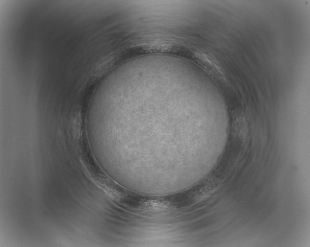 X0000072510498200607290136