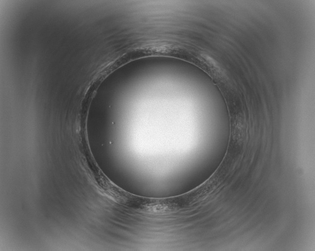 X0000072510500200607290136