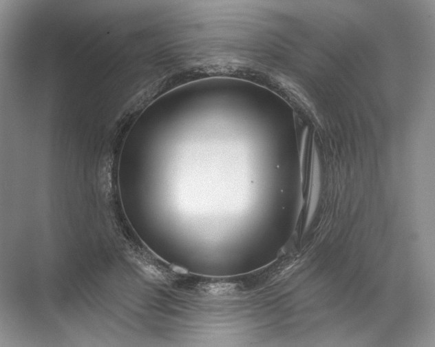 X0000072510501200607290136