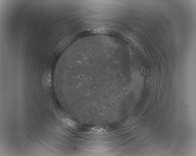 X0000072510502200607290136