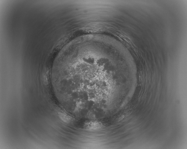 X0000072510503200607290136