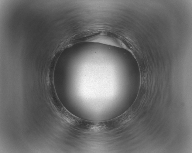 X0000072510504200607290136