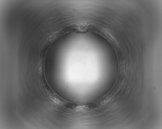 X0000072510505200607290136