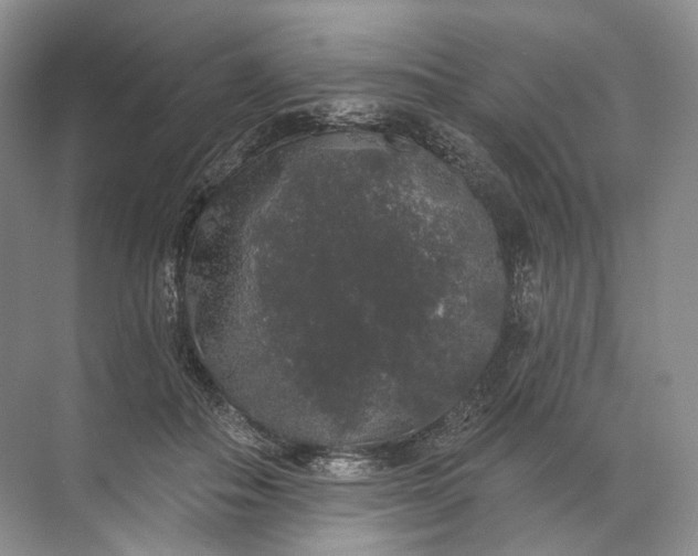 X0000072510506200607290136