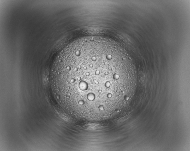 X0000072510507200607290136