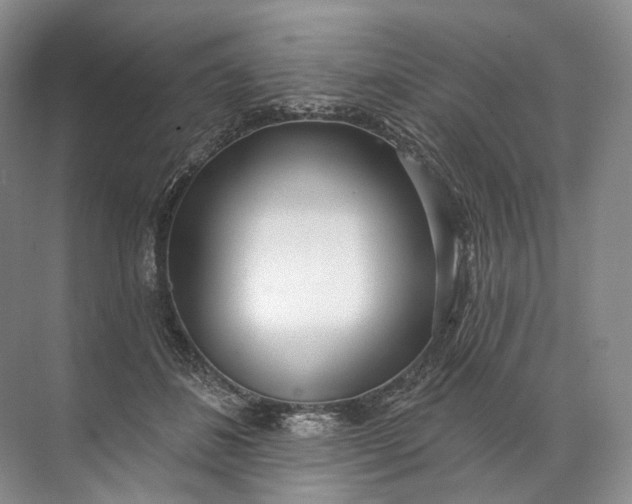 X0000072510508200607290136