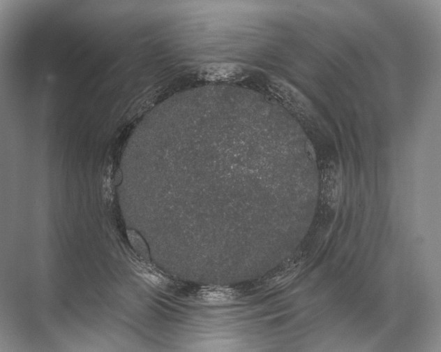 X0000072510510200607290136