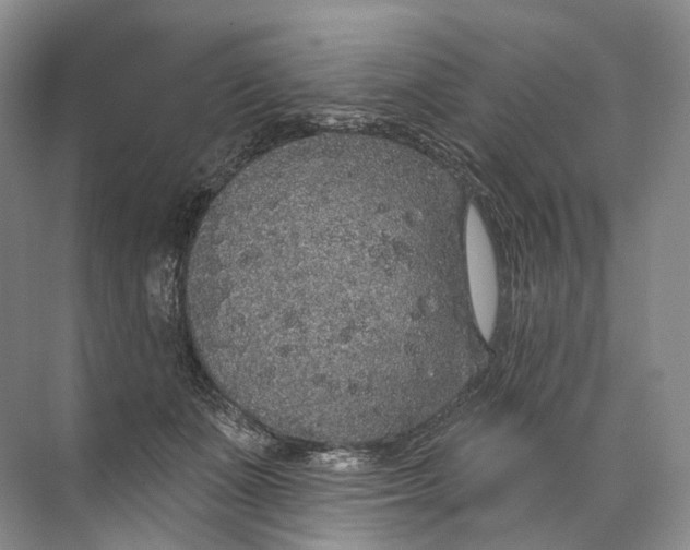 X0000072510511200607290136