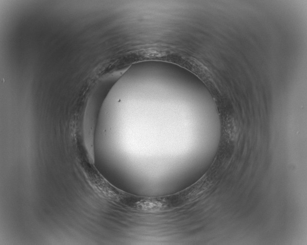 X0000072510512200607290136