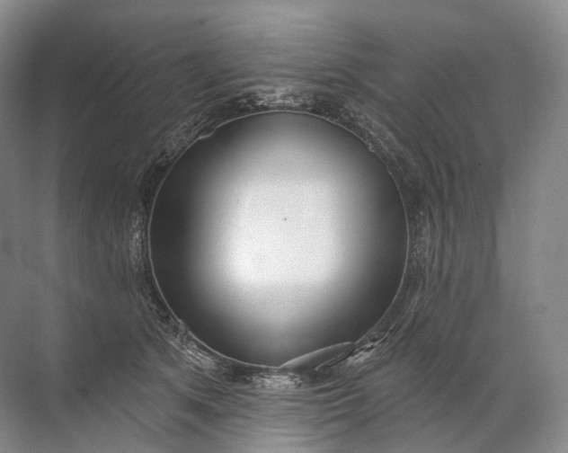 X0000072510513200607290136