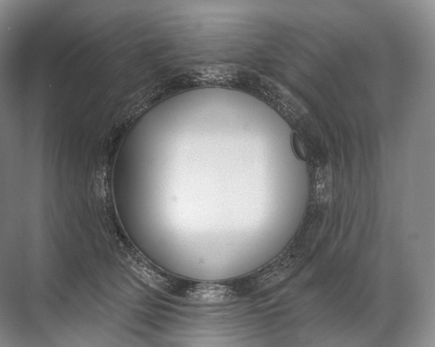 X0000072510514200607290136