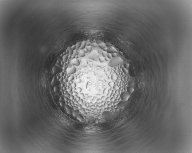 X0000072510515200607290136