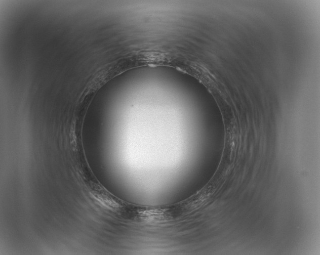 X0000072510516200607290136