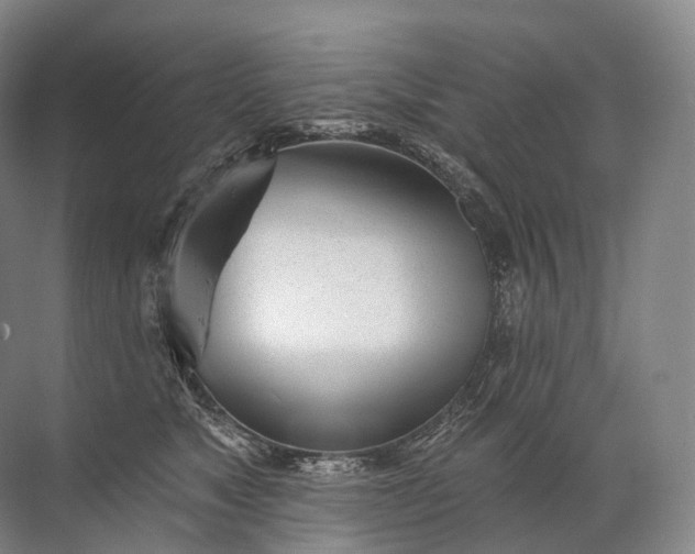 X0000072510517200607290136