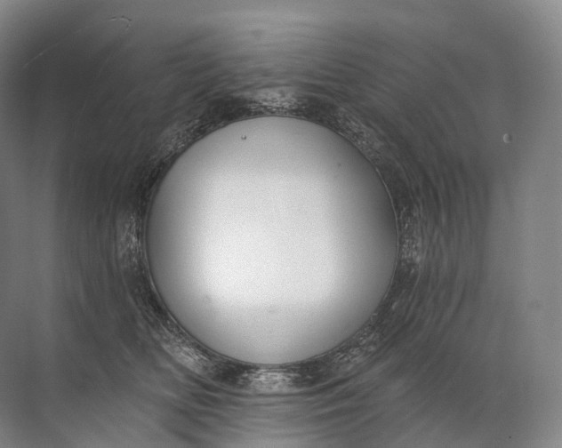 X0000072510518200607290136