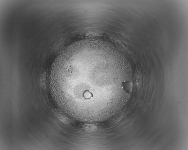 X0000072510519200607290136