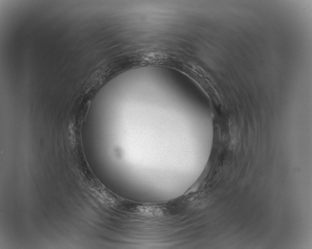 X0000072510520200607290136