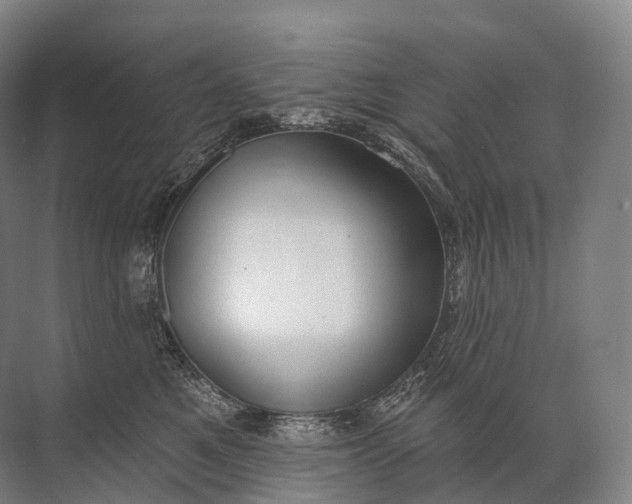 X0000072510521200607290136